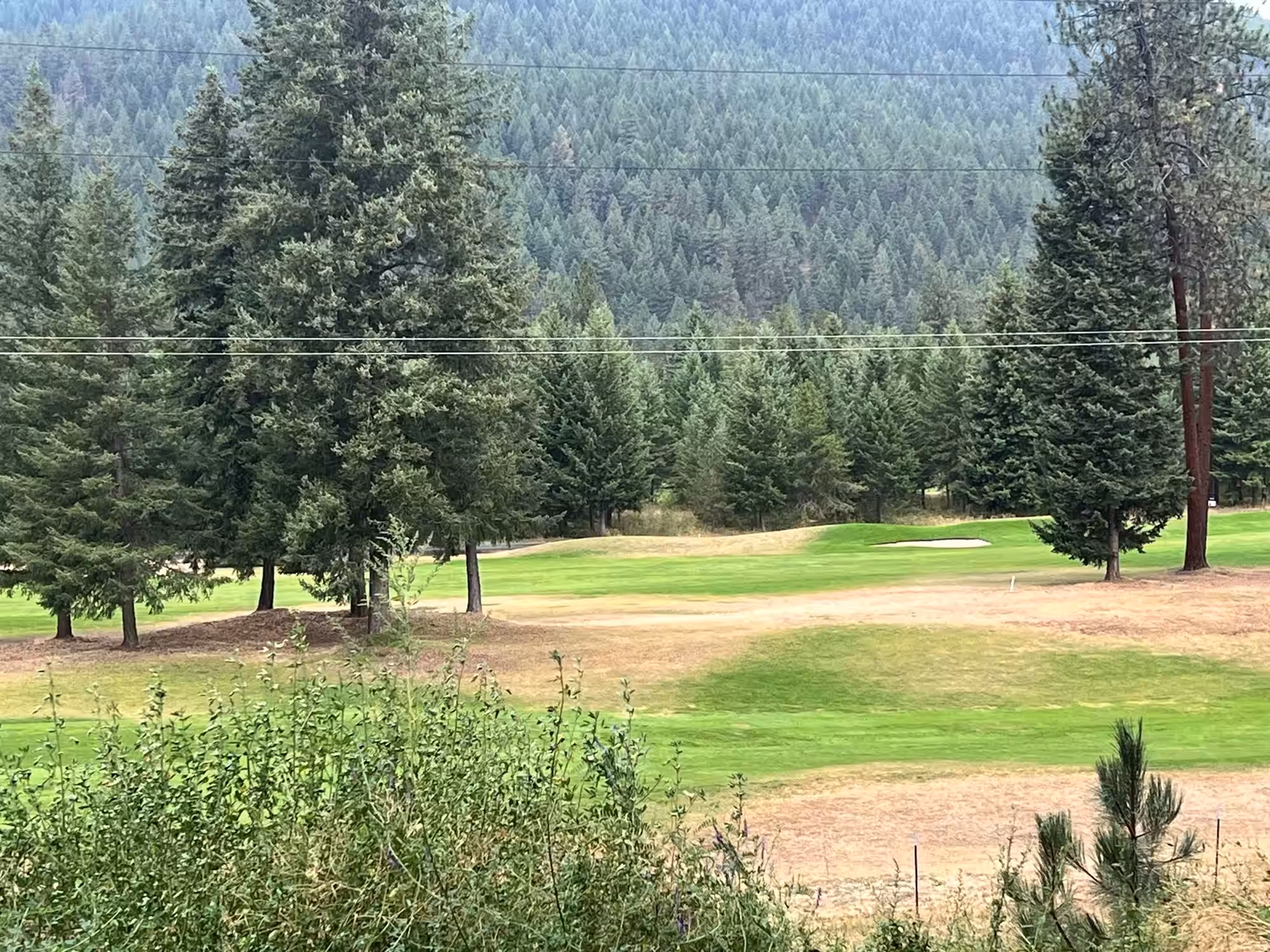 Mown golf-course turf with a pale sand bunker, framed by scattered evergreens and backed by a hillside of dense conifer forest. Overhead utility lines cross the sky and tall weeds grow along the near edge of the grass.